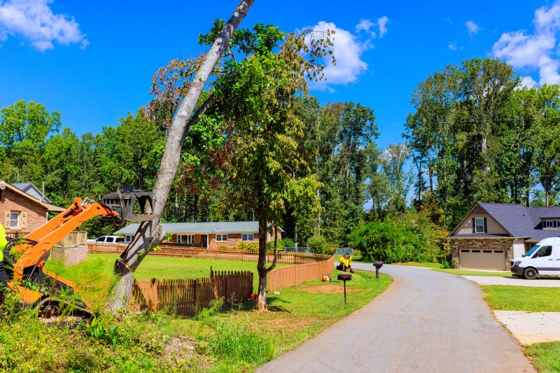 Ground Cover Removal