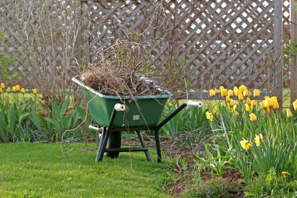 Flower Bed Cleanup Service in Fayetteville