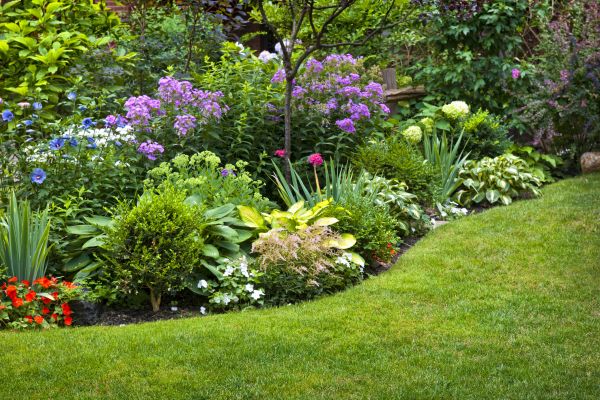 Flower Bed Service in Fayetteville