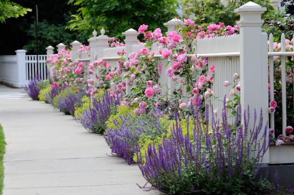Garden Handyman Service in Fayetteville