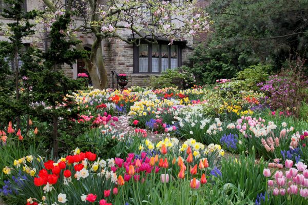 Garden Maintenance Service in Fayetteville