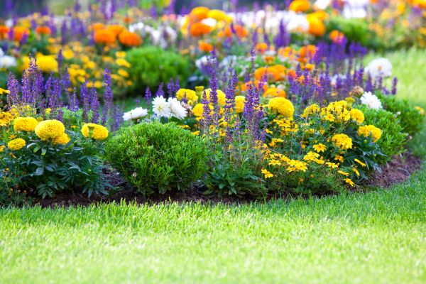 Garden Installation in Fayetteville