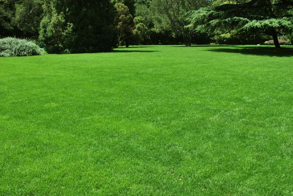 Lawn Landscaping in Fayetteville