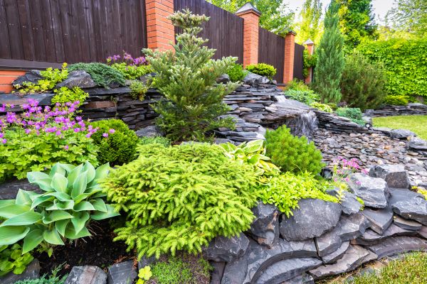 Landscape Remodeling in Fayetteville