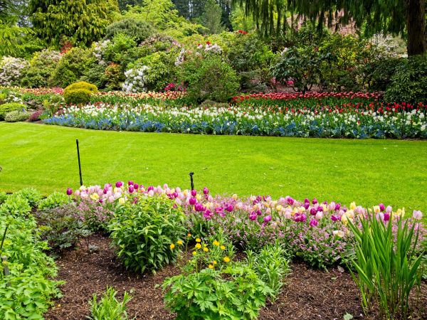 Residential Landscape Design in Fayetteville