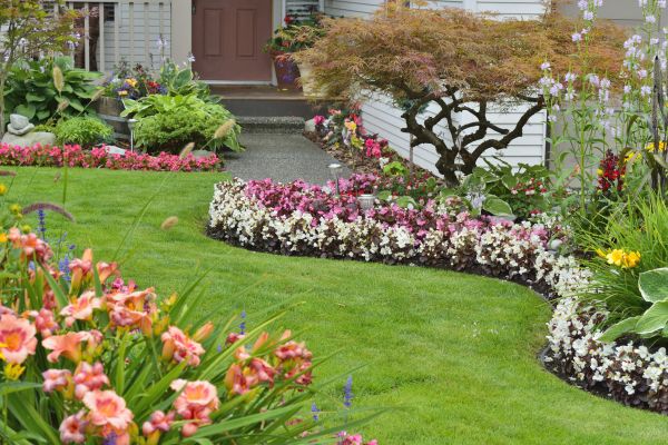 Perennial Landscaping in Fayetteville