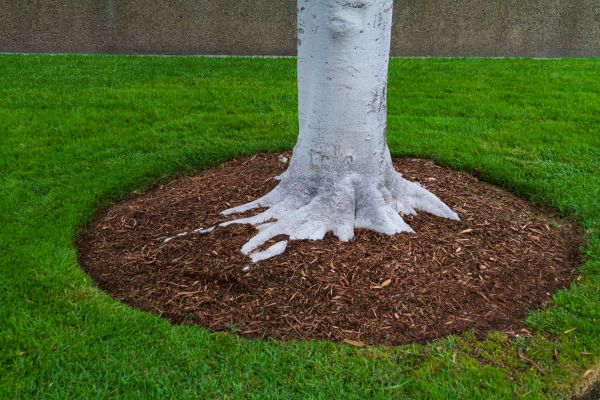 Brown Mulch Installation in Fayetteville