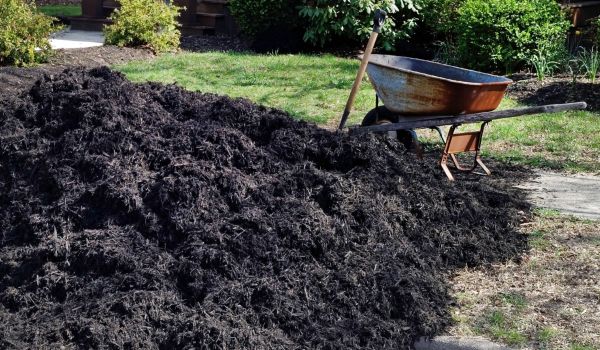 Black Mulch Installation in Fayetteville