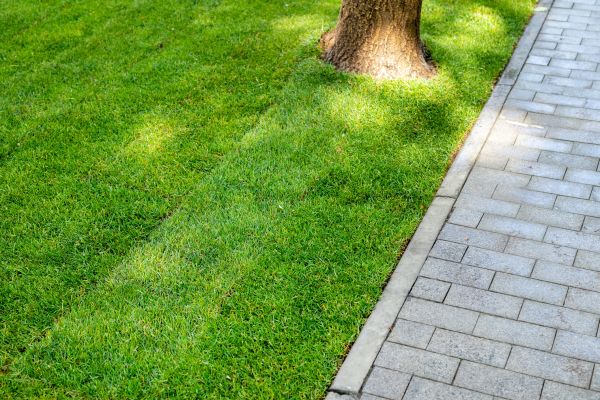 Border Stone Installation in Fayetteville