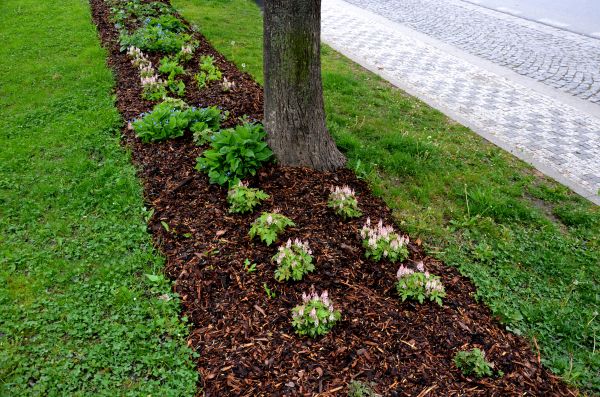 Mulch Laying