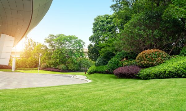 Business Landscape Design in Fayetteville