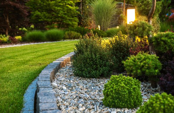 Landscaping Service in Fayetteville