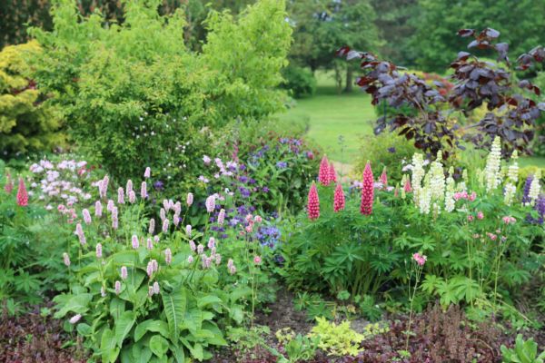 Flower Bed Planting in Fayetteville