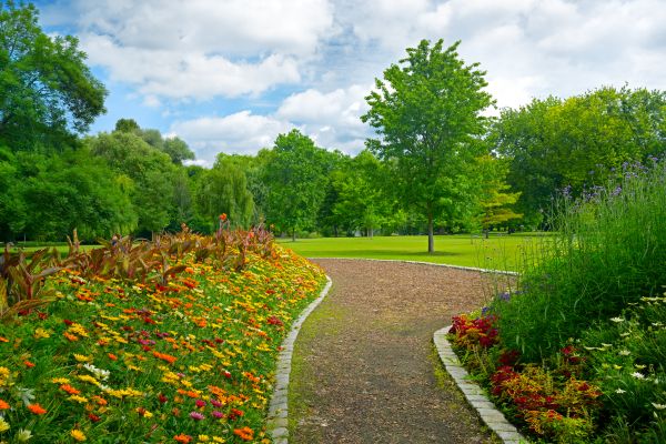 Park Landscaping in Fayetteville