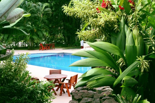 Tropical Garden Landscaping in Fayetteville