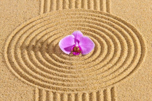 Sand Garden Landscaping in Fayetteville