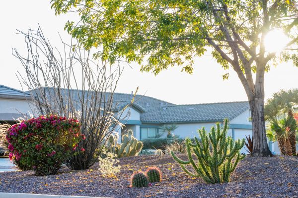 Dryscape Landscaping in Fayetteville