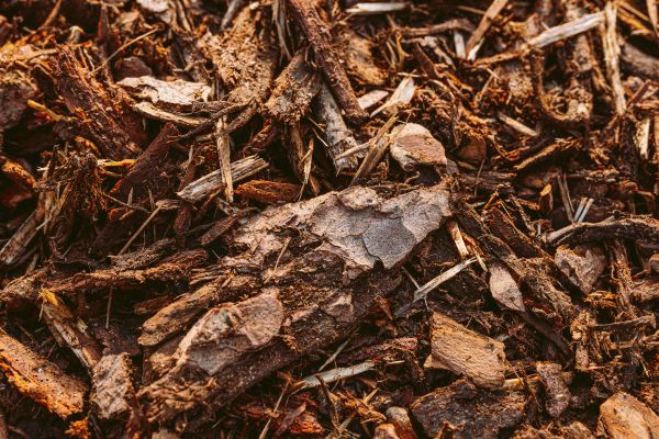 Bark Mulch Delivery in Fayetteville