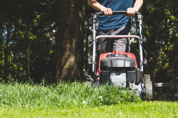 Garden Trimming Service in Fayetteville