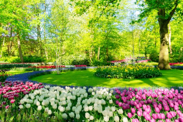 Flower Landscaping Service