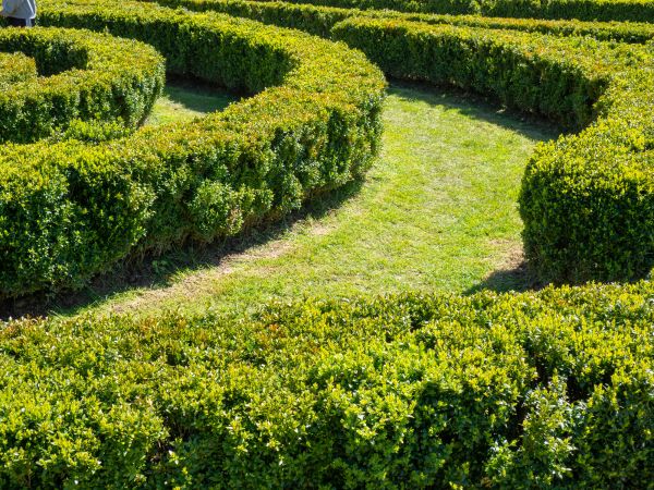 Bush Landscaping in Fayetteville