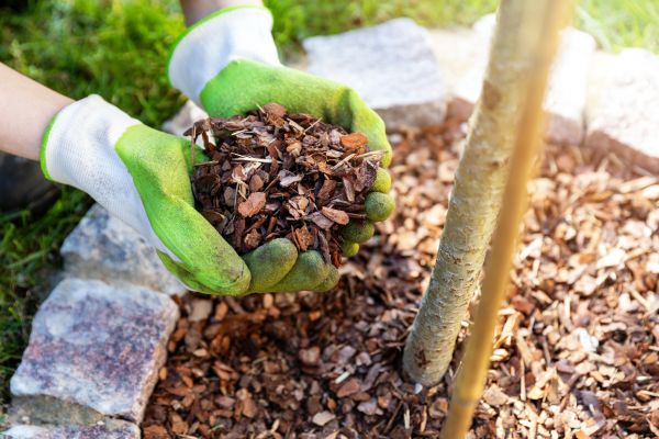 Tree Bark Delivery in Fayetteville