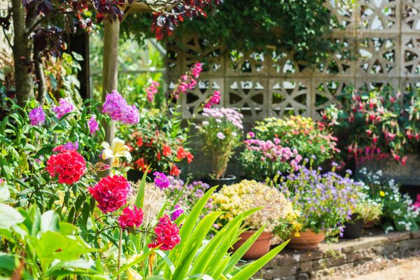Spring Garden Maintenance in Fayetteville