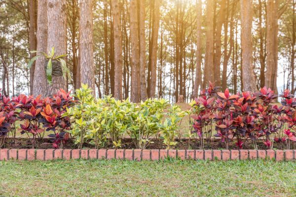 Small Garden Landscaping in Fayetteville
