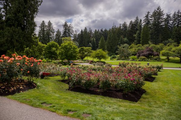 Flower Garden Landscaping in Fayetteville