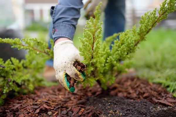 Church Mulching in Fayetteville